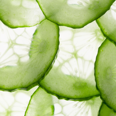 CUCUMBER EXTRACT ingredient in HYA BOOSTER Face Serum