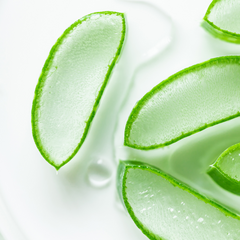ALOE VERA ingredient in SOFT TOUCH Cleansing Foam